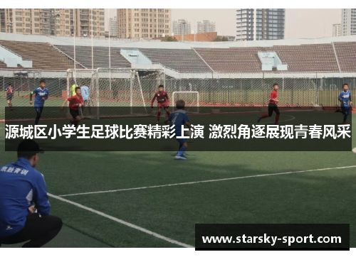 源城区小学生足球比赛精彩上演 激烈角逐展现青春风采 源城区小学生足球比赛精彩上演 激烈角逐展现青春风采